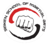 Seiken Martial Arts School